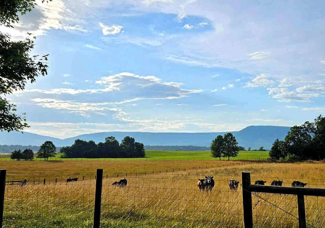 Piney Hill B&B And Cottages Luray Buitenkant foto