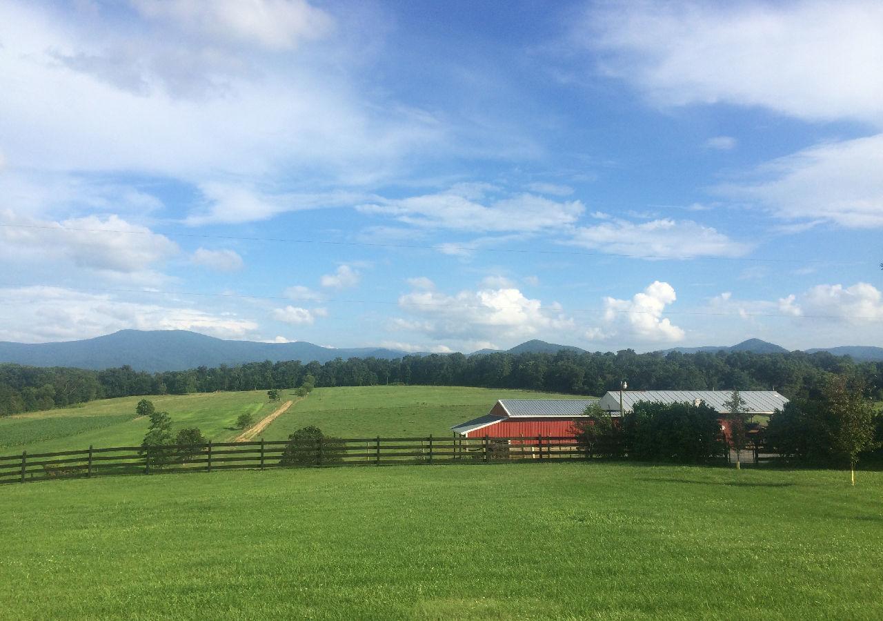 Piney Hill B&B And Cottages Luray Buitenkant foto